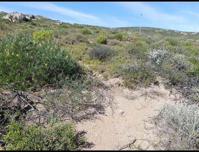 LAND FOR SALE IN ST HELENA VIEWS